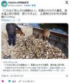 【広島】「これほど死んだの経験ない..
