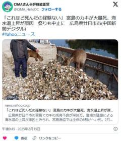 【広島】「これほど死んだの経験ない」 宮島のカキが大量死、海水温上昇が原因祭りも中止に廿日市市のイメージ画像