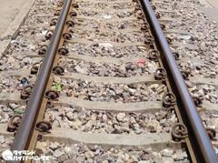 列車事故、アカシアの枝切り中に撥ねられて死亡のイメージ画像