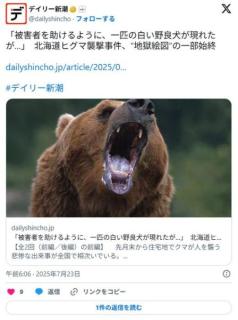 住民「新聞配達員がクマに襲われてるので金属バットを持ち外に出たが恐怖で見てることしかできなかった