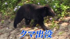 【速報】自宅でクマに襲われた80代女性が死亡 襲ったクマの行方は分からず 岩手・北上市のイメージ画像