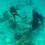 タイのサンゴ礁を踏みつけた韓国人ダイバー捜査(102)