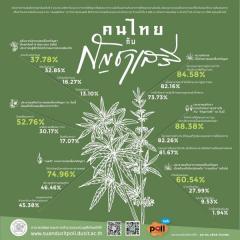 タイの大麻解禁、9割近くが「政治的」のイメージ画像