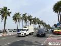 「強盗に遭った」と通報の女性、実は..