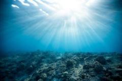 日本が深海のレアアース採掘へ、深海資源が地政学的な焦点に―独メディア