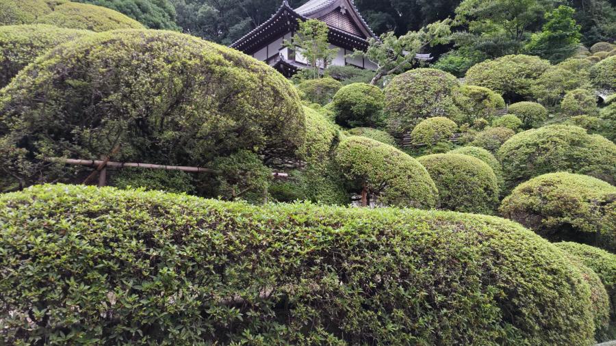 神木山等覚院の緑のイメージ画像