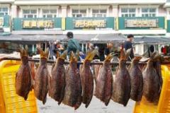 淡水魚の都・黒竜江省撫遠市、大市場へ「泳ぎ出した」冷水魚―中国のイメージ画像