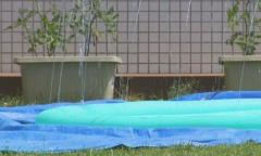 「目を離したすきに」３歳女児がプールで溺れる 深さ数センチ…幼稚園で水遊び中 北海道恵庭市