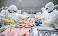 【経済】日本でベトナム産ナマズの需要拡大CPTPP追い風に競争力強化へ