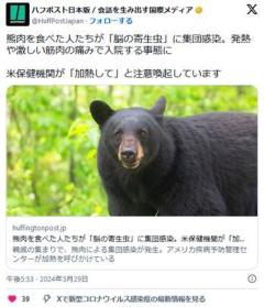 【（・(ｪ)・）】熊肉を食べた人たちが「脳の寄生虫」に集団感染。米保健機関が「加熱して」と注意喚起のイメージ画像