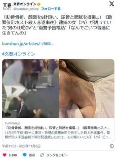 【歌舞伎町ホスト殺人未遂】逮捕の女が語っていた被害男性からの壮絶DV「肋骨骨折、顔面を8針縫い、尿管と膀胱を損傷、精神崩壊」のイメージ画像