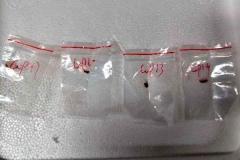 非常に有害な菌類を秘かに持ち込んだ疑いで、FBIが中国人2人を逮捕のイメージ画像