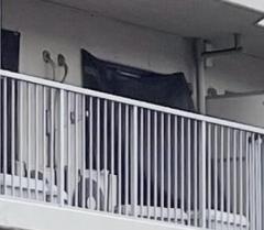 オウム松本元死刑囚の妻宅から数千万円 家宅捜索で発見、出所の解明急ぐ 異例の立ち入り、拒んだ疑い・公安当局のイメージ画像