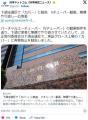 ホロライブの会社、動画を下請けに無..