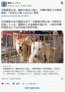 犬猫食禁止法、維新が成立に腐心 外国人に「日本なら犬猫が食べられる」との認識が広がる懸念のイメージ画像