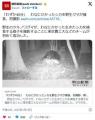 【栃木】「わずか40分」わなにかかっ..