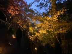 沖水川沿いの遊歩道は赤と黄色の美しいコントラストのイメージ画像