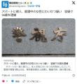 【目黒】「ムラムラした」アパートに..