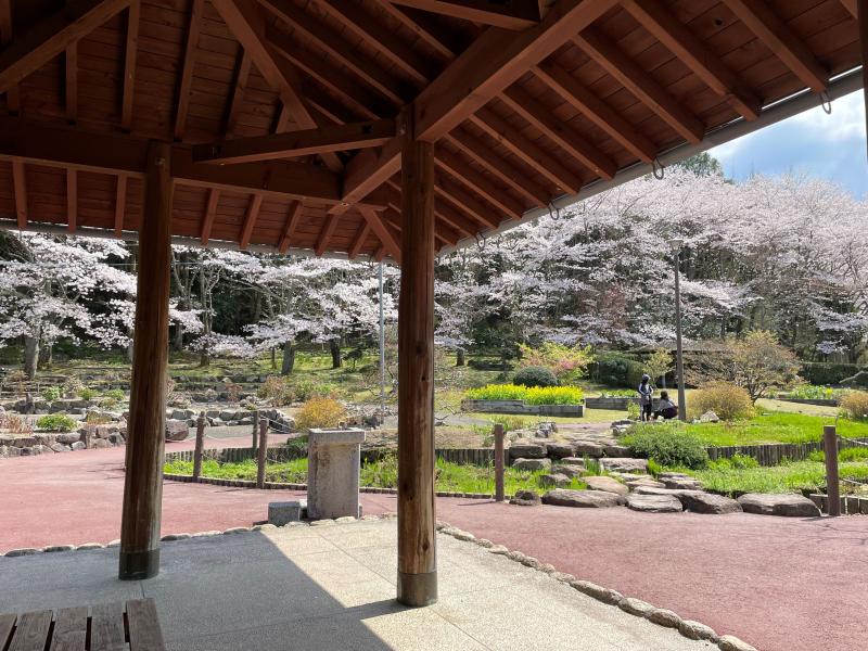 爆サイ.com 大阪版美しい風景写真エリアトップ