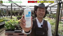 薬を使わず蚊を撃退！園芸のプロ・カーメン君直伝の天然対策法