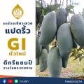 タイ政府、グリーンマンゴー「パット..
