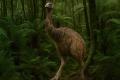 絶滅した巨大な怪鳥「ジャイアント・..