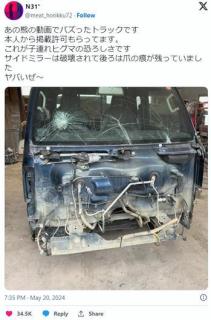 【画像】ヒグマに襲われた車、リアルスト2ボーナスステージ状態になるのイメージ画像