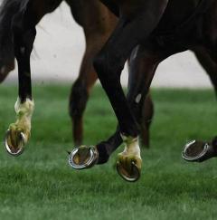 JRAが異例の声明 騎手らへの悪質な誹謗中傷に「法的措置を含め厳正な対応を行う」 SNSなどネット上で散見のイメージ画像