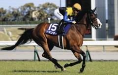 高松宮記念と、男勝りのシラユキヒメ一族