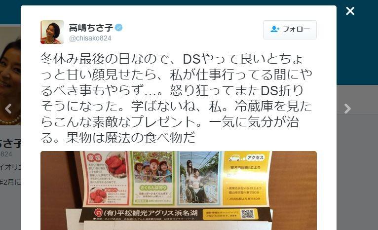 高嶋ちさ子 定期的に3DSを破壊→修復していた！
