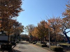 小山市の紅葉と中央公園のイメージ画像
