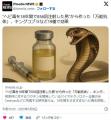 “ヘビ毒を18年間で856回注射した男”..
