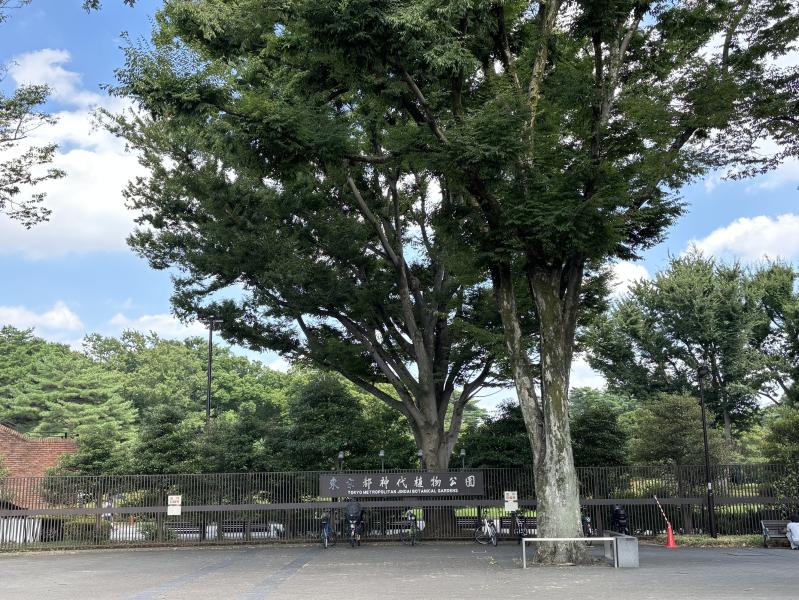 神代植物公園のイメージ画像
