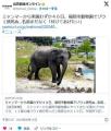 【悲報】福岡市動物園にミャンマーか..