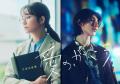 木村文乃、フジ連ドラ初主演で高校教..