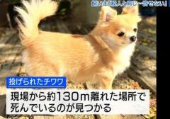 チワワを川に投げて死なせる 飼い主「殺人と同じ…到底許せない」 男が盗んだ車から投げ捨て 山梨のイメージ画像
