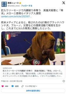 有名な人命救助犬、庭に投げ込まれた大量の釘入りソーセージで臓物をズタボロに切り裂かれ苦しんで死ぬ