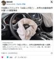 中国製エアバッグで11人死亡　作動時に金属が飛散して運転手に直撃　全米でパニック