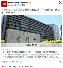 ドッグランで大型犬に衝突されけが「犬を過信」飼い主に1600万円賠償命令 [大阪高裁]のイメージ画像