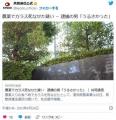 カラスに農薬入りの餌を食べさせ死な..