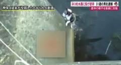 ネコを水路に投げ虐待、様子を動画に投稿 男(31)を逮捕 福島