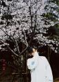 中島健人、「僕がみた 桜を贈ります」..