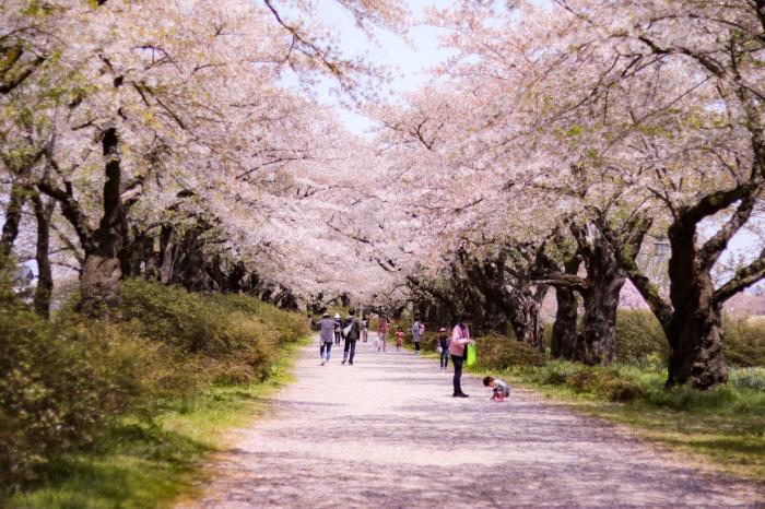 岩手北上市展勝地のイメージ画像