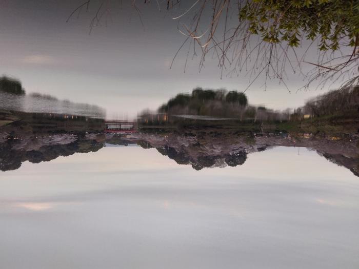夕暮れ時の甘木公園のイメージ画像