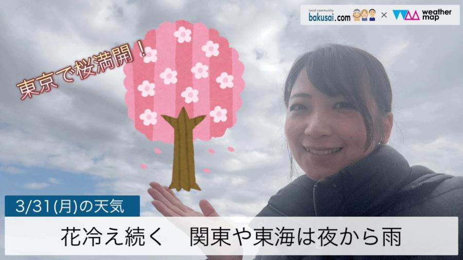 花冷え続く関東や東海では夜から雨のイメージ画像