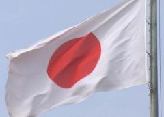 国旗損壊罪に刑事法学者148人が反対 あいまいな基準を懸念 参院で実質審議入りのイメージ画像