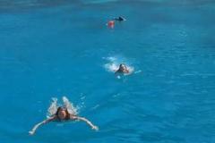 ギリシャの海で泳いでいた2人の女性、ブタに追われる【動画】