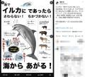 「イルカ＝友好的」は間違い！元水族..