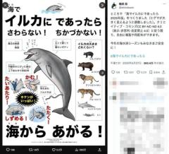 「イルカ＝友好的」は間違い！元水族館職員の絵本作家が伝えたい“危険性”のイメージ画像