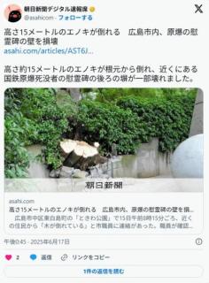 【広島】高さ15メートルのエノキが倒れる原爆の慰霊碑の壁を損壊のイメージ画像